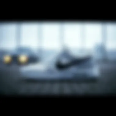 Magnificent Nike Ayakkabı Bayan 2020: Stil, Performans ve Seçenekler