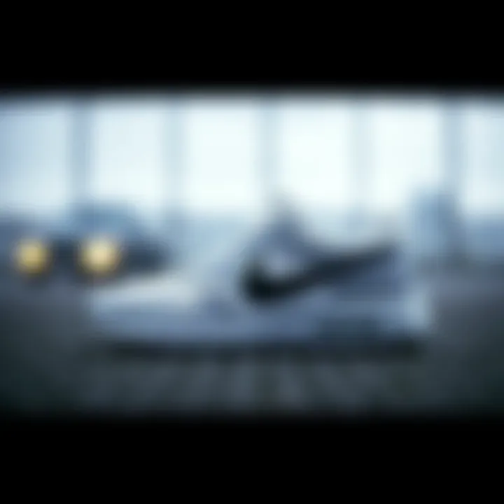 Magnificent Nike Ayakkabı Bayan 2020: Stil, Performans ve Seçenekler