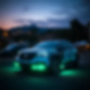 Magnificent Speedcross 4: Dağ Koşusunun Öncüsü