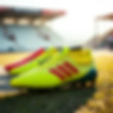 Diverse Color Collection of Adidas Predator Cleats Collection of Adidas Predator cleats in various colors for sneaker enthusiasts.