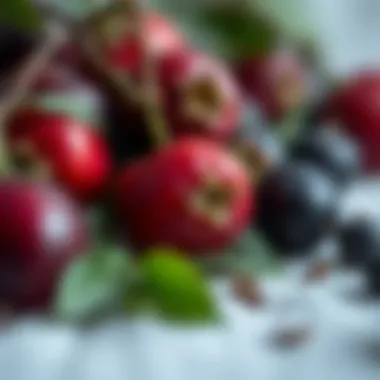 Bountiful harvest of fruits rich in anthocyanins