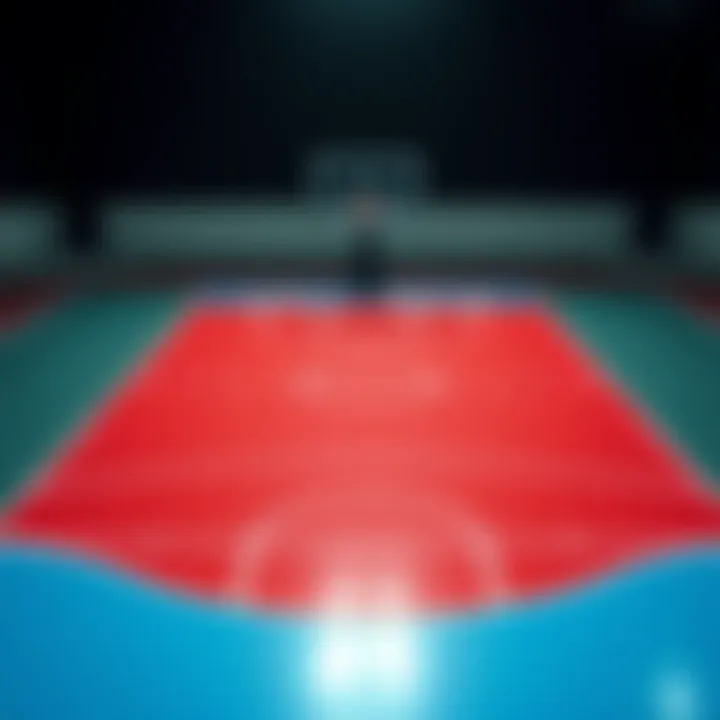 Basketball court layout showcasing key areas