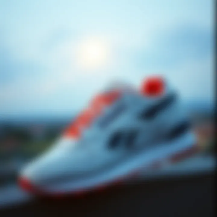 C85 Reebok: Spor Giyim Dünyasında Bir Fenomen Introduction C85 Reebok: Spor Giyim Dünyasında Bir Fenomen Introduction