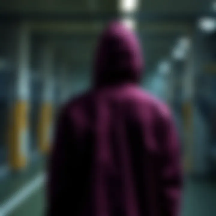 Global impact of D brands in sports apparel industry