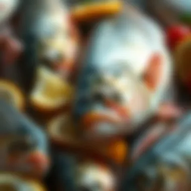 An assortment of fish, a significant source of vitamin D