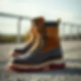 Premium quality boots showcasing elegant design