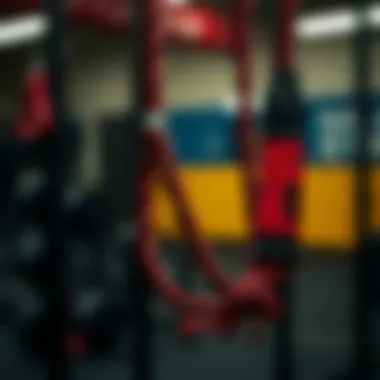 Trendy rope gym accessories enhancing workout experiences