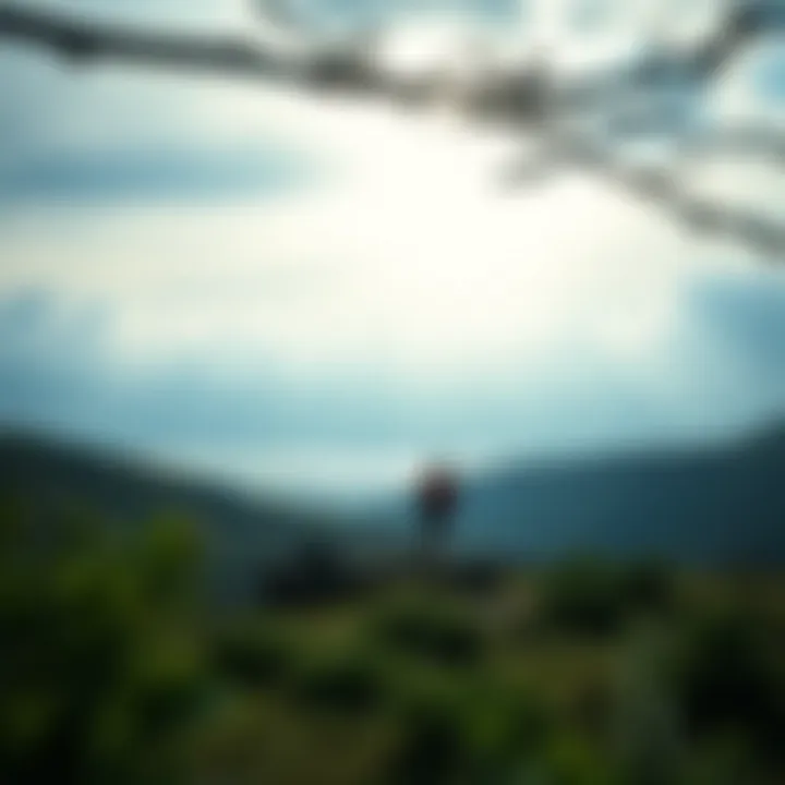 An inspiring landscape inviting physical activity and outdoor exploration