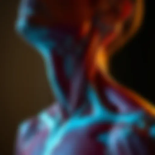 Muscle anatomy highlighting neck muscles