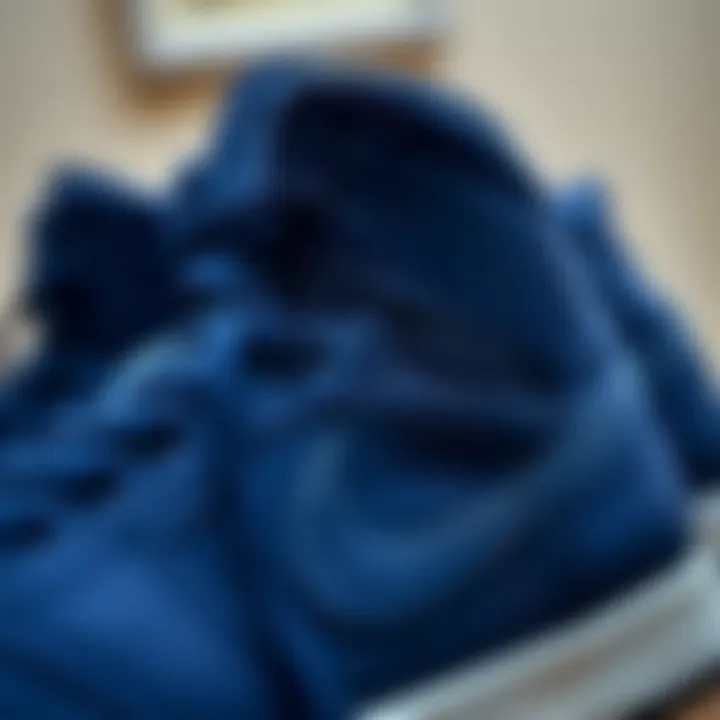 Distinctive Navy Blue Colorway in Air Jordan Close-up of the distinctive navy blue colorway on Air Jordan models