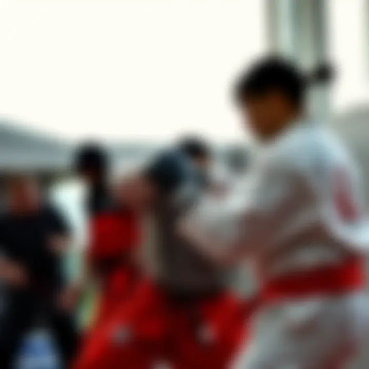 Mastering Various Techniques in Martial Arts Diverse martial arts techniques in practice