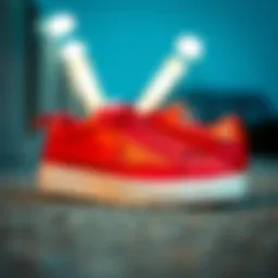 Stylish Nike Blazer shoes showcasing their elegant design