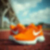 Vibrant Nike Orange Sports Shoes A striking pair of orange Nike sports shoes showcasing their vibrant design