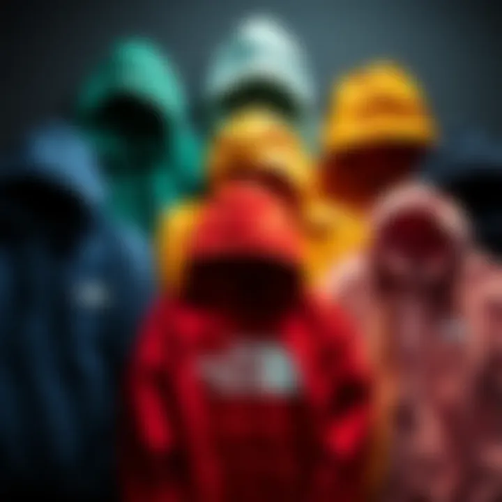 Color Palette of North Face Hoodies Different color variations of North Face hoodies arranged aesthetically