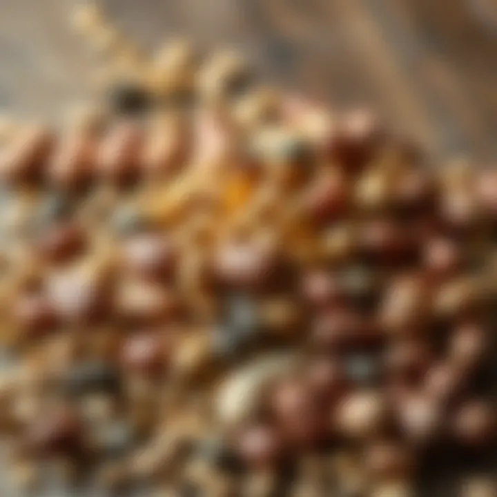 Nuts and Seeds: Protein Powerhouses A colorful assortment of nuts and seeds