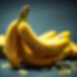 Bananas: A Potassium Powerhouse Nutritious bananas rich in potassium