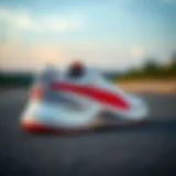 Sleek design of Puma flat sole shoes