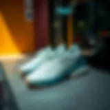 Stylish display of Puma Softride Sophia Eco shoes