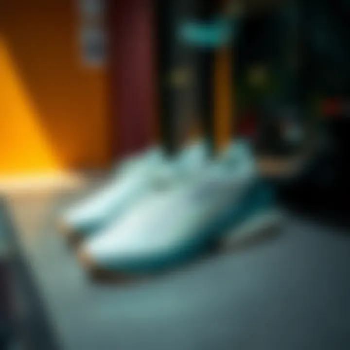 Stylish display of Puma Softride Sophia Eco shoes