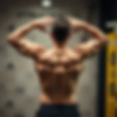 Effective Back Exercises for Strength Demonstration of back exercises