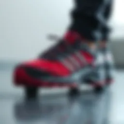 Speedcross 4: Dağ Koşusunun Öncüsü Introduction