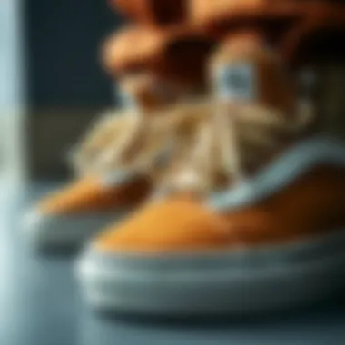 Close-up of Vans shoes emphasizing their craftsmanship and details