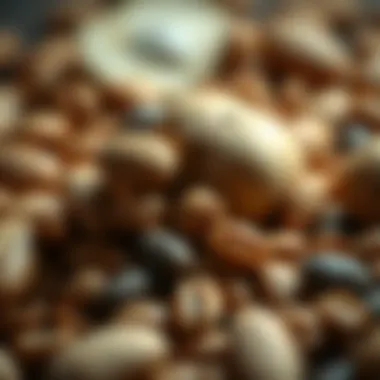Nuts and Seeds for Health A close-up of nuts and seeds that enhance body resilience.