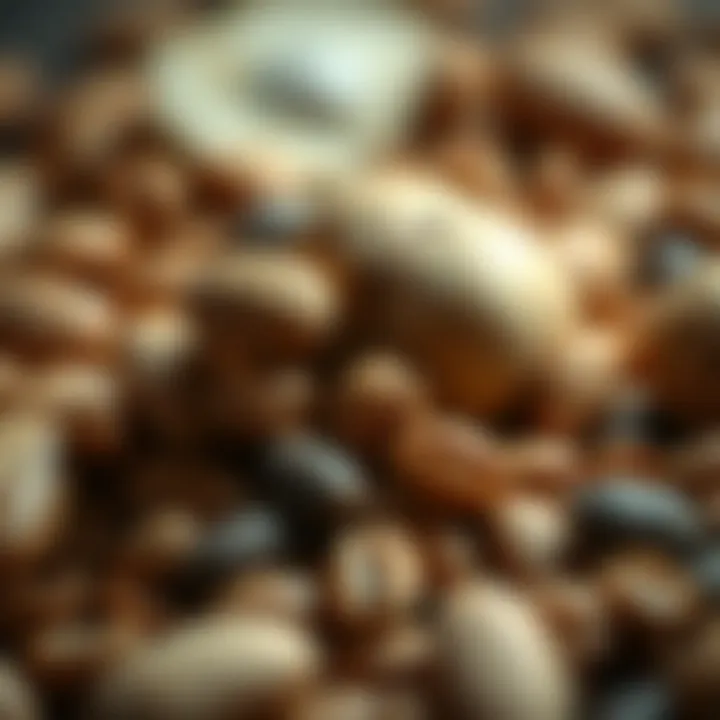 Nuts and Seeds for Health A close-up of nuts and seeds that enhance body resilience.